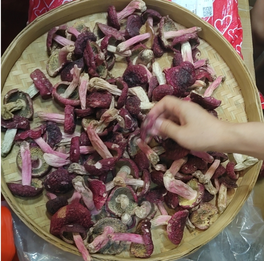 长汀红菇的功效与作用 长汀红菇如何鉴别真假?